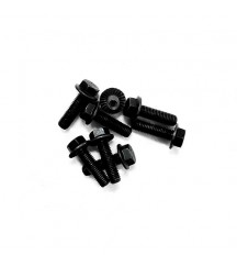 Flange screw 984754